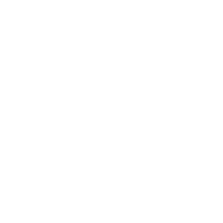 Icon1
