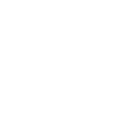 icon2